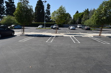 Enlarge photo 40