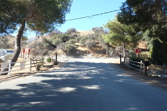 Enlarge photo 2