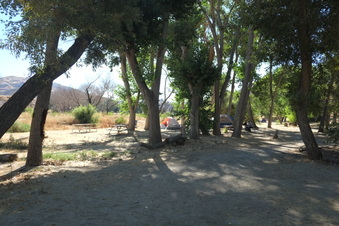 Enlarge photo 25