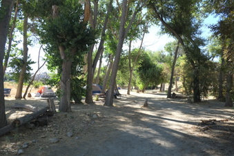 Enlarge photo 27