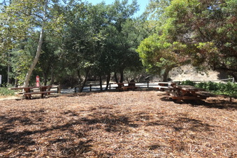 Enlarge photo 2