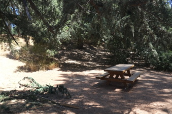 Enlarge photo 10