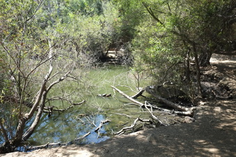 Enlarge photo 19