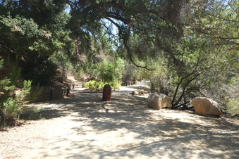 Enlarge photo 28