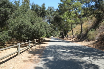 Enlarge photo 30