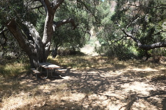 Enlarge photo 32