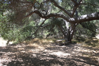 Enlarge photo 34