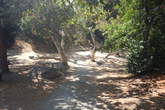 Enlarge photo 2