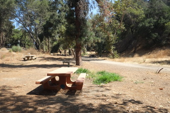 Enlarge photo 3