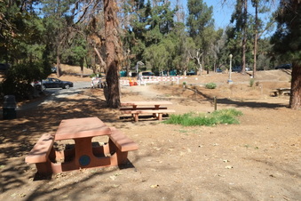Enlarge photo 5