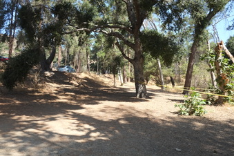 Enlarge photo 9