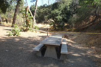Enlarge photo 10