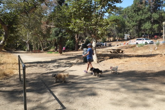 Enlarge photo 11