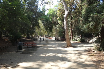 Enlarge photo 12