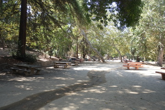 Enlarge photo 15