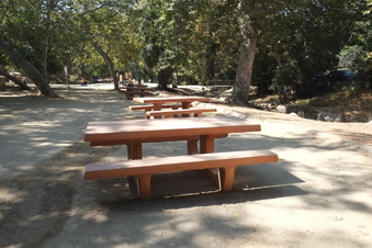 Enlarge photo 16
