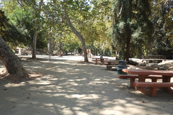 Enlarge photo 20