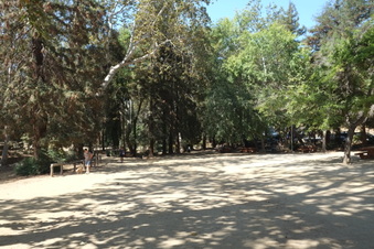 Enlarge photo 21