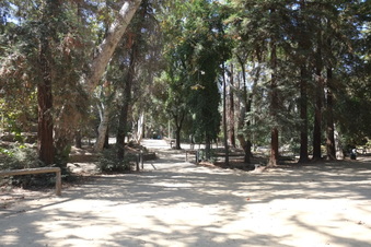 Enlarge photo 23