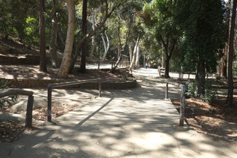 Enlarge photo 25