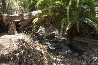 Enlarge photo 6