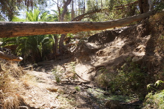 Enlarge photo 7
