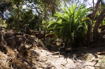 Enlarge photo 8