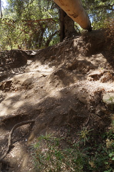 Enlarge photo 10