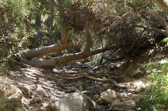 Enlarge photo 15