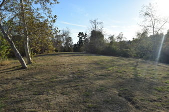 Enlarge photo 47