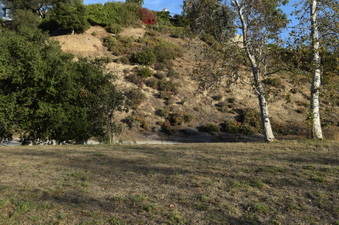 Enlarge photo 60