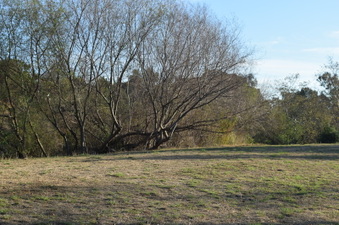 Enlarge photo 62