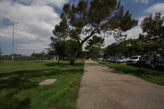 Enlarge photo 32