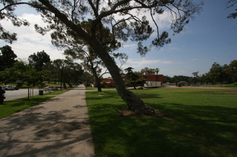 Enlarge photo 33