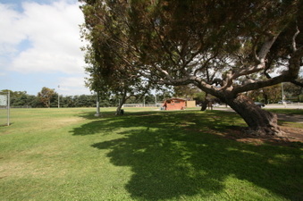 Enlarge photo 36
