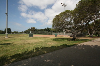 Enlarge photo 40