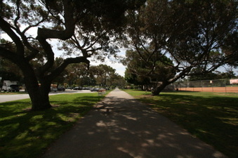 Enlarge photo 42