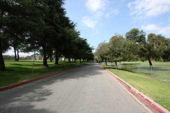 Enlarge photo 44