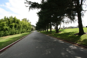 Enlarge photo 45