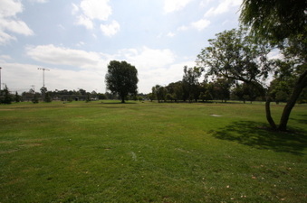 Enlarge photo 46
