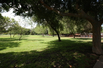 Enlarge photo 47