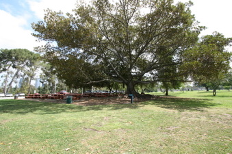 Enlarge photo 49