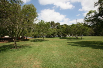 Enlarge photo 51