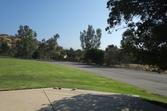 Enlarge photo 91