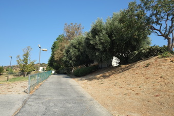 Enlarge photo 93