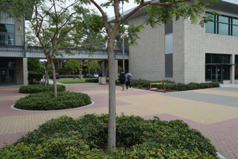Enlarge photo 2