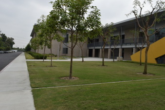 Enlarge photo 12