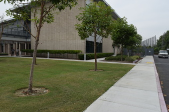 Enlarge photo 16