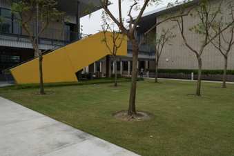 Enlarge photo 18