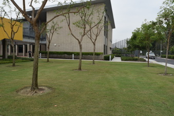 Enlarge photo 19